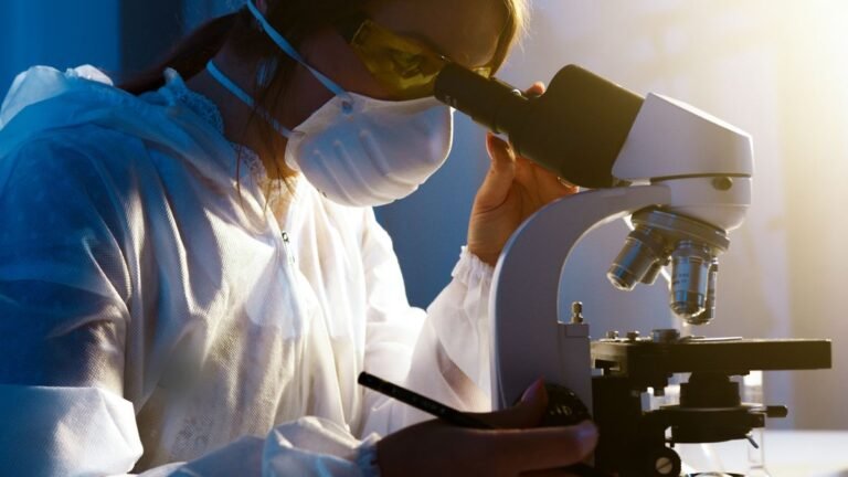 Women hormone therapy estrogen Alzheimer's dementia protection brain menopause