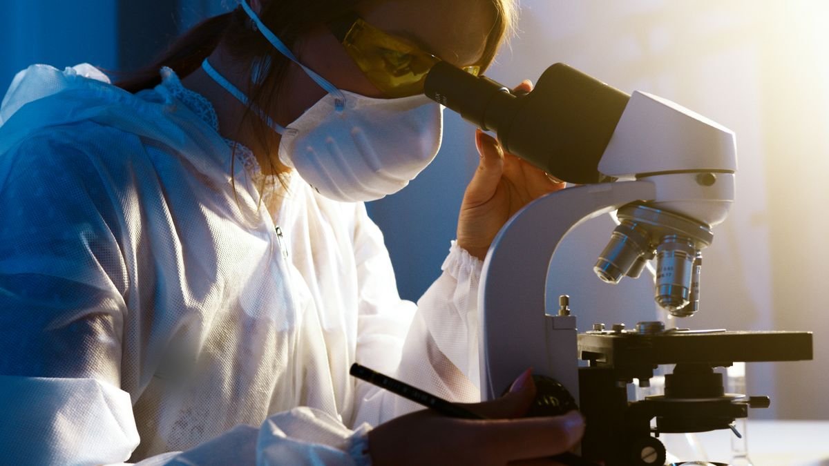 Estrogen-Only Hormone Therapy Linked to Fewer Alzheimer’s Signs in Women: What August 2026’s Research Reveals